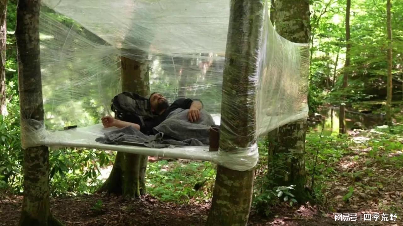 宁夏贺兰县搭建自媒体发展服务对接平台(图1)